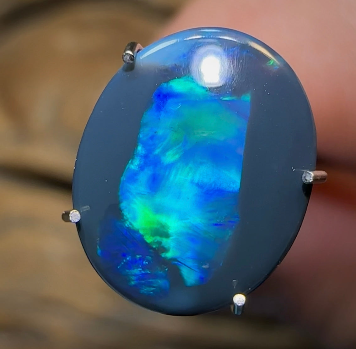 1.55cts - Solid Lightning Ridge Black Opal - Opal Whisperers