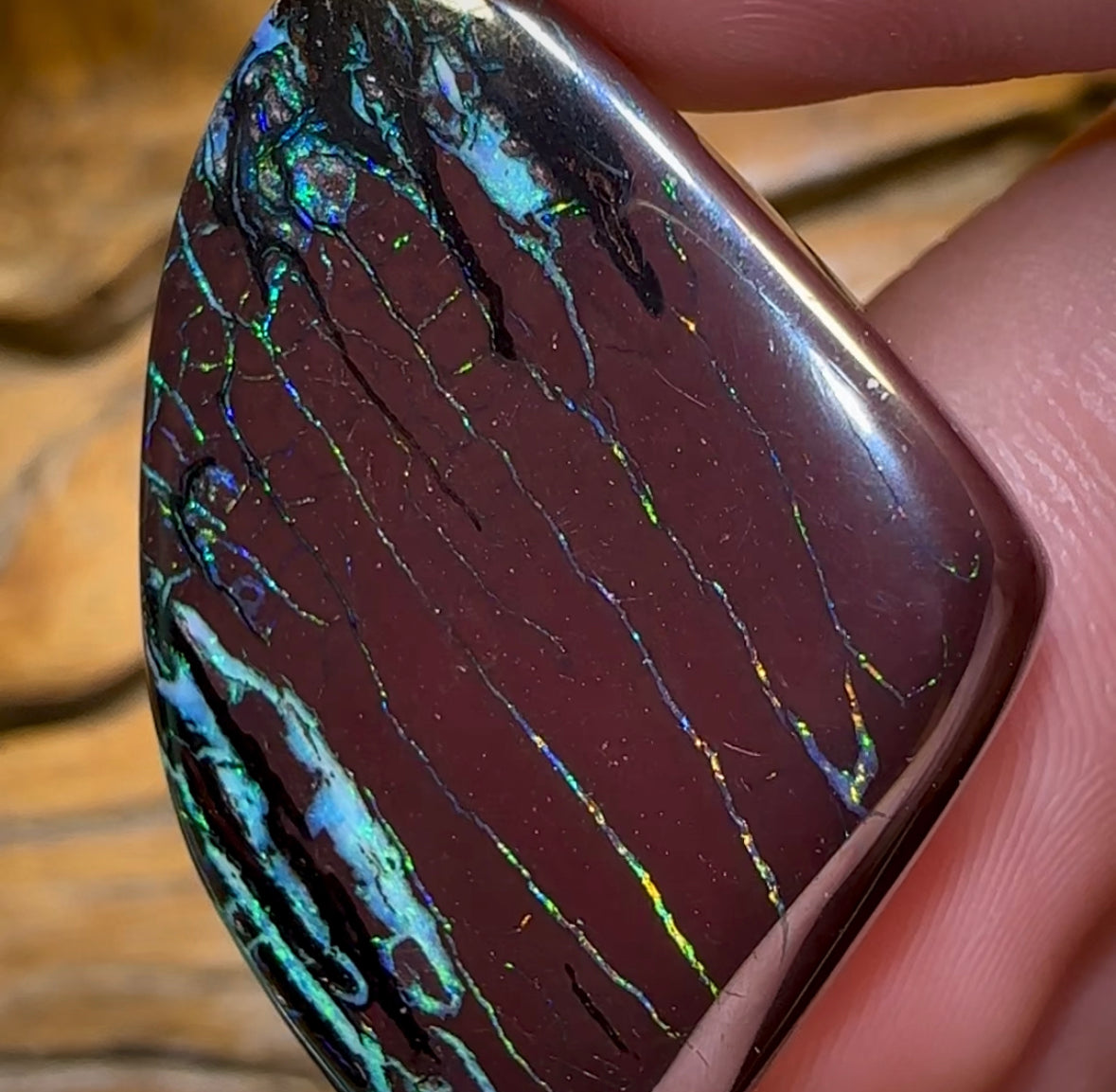 66.2cts - “Electric Zebra”Koroit Nut Opal. Dark Ironstone - Opal Whisperers
