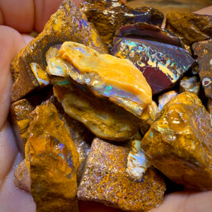 🔒439.5cts - 25x Opalised Wood/Vegetation Fossil Rough Parcel from Yowah