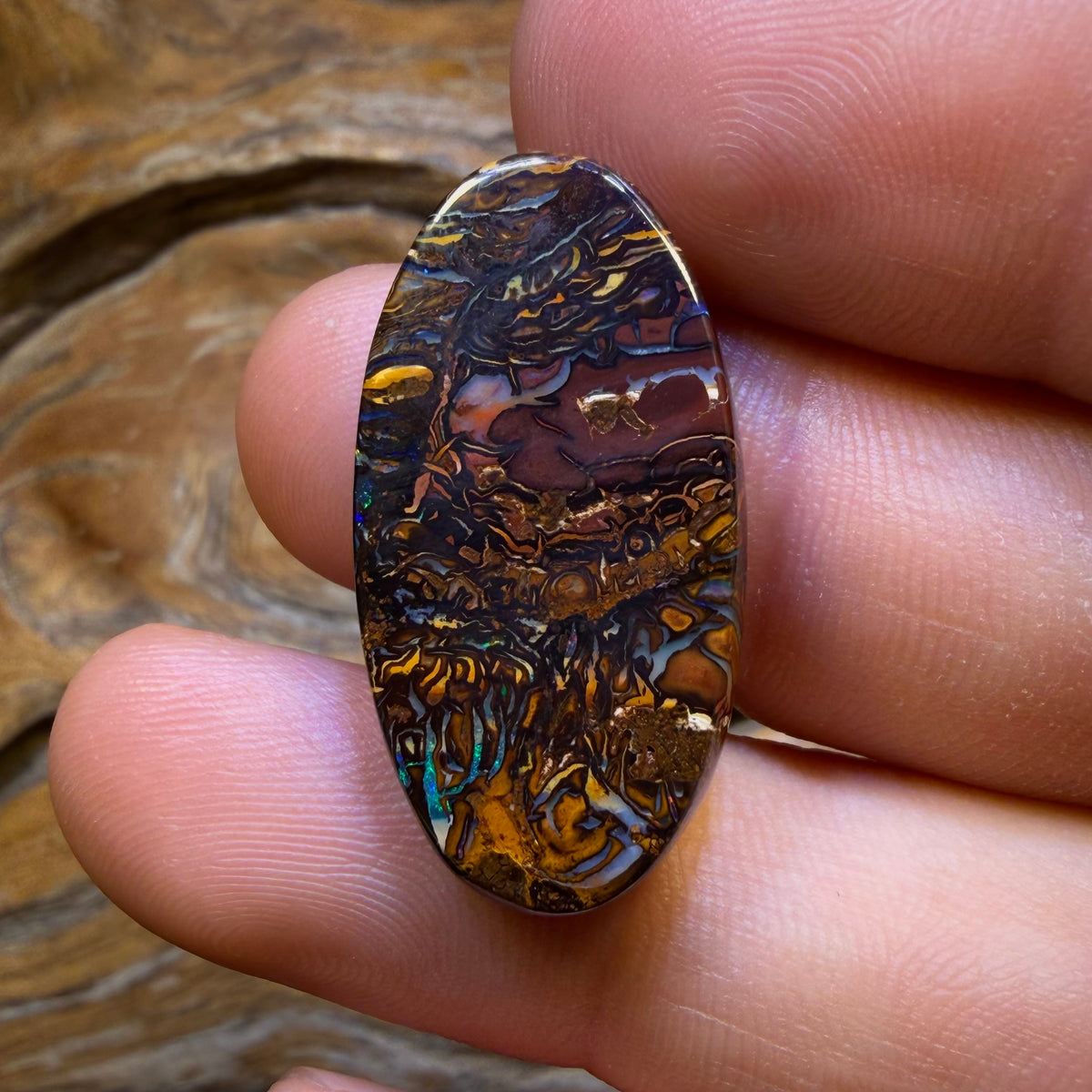 26.4cts - Tribal Queensland Boulder Opal from Yowah