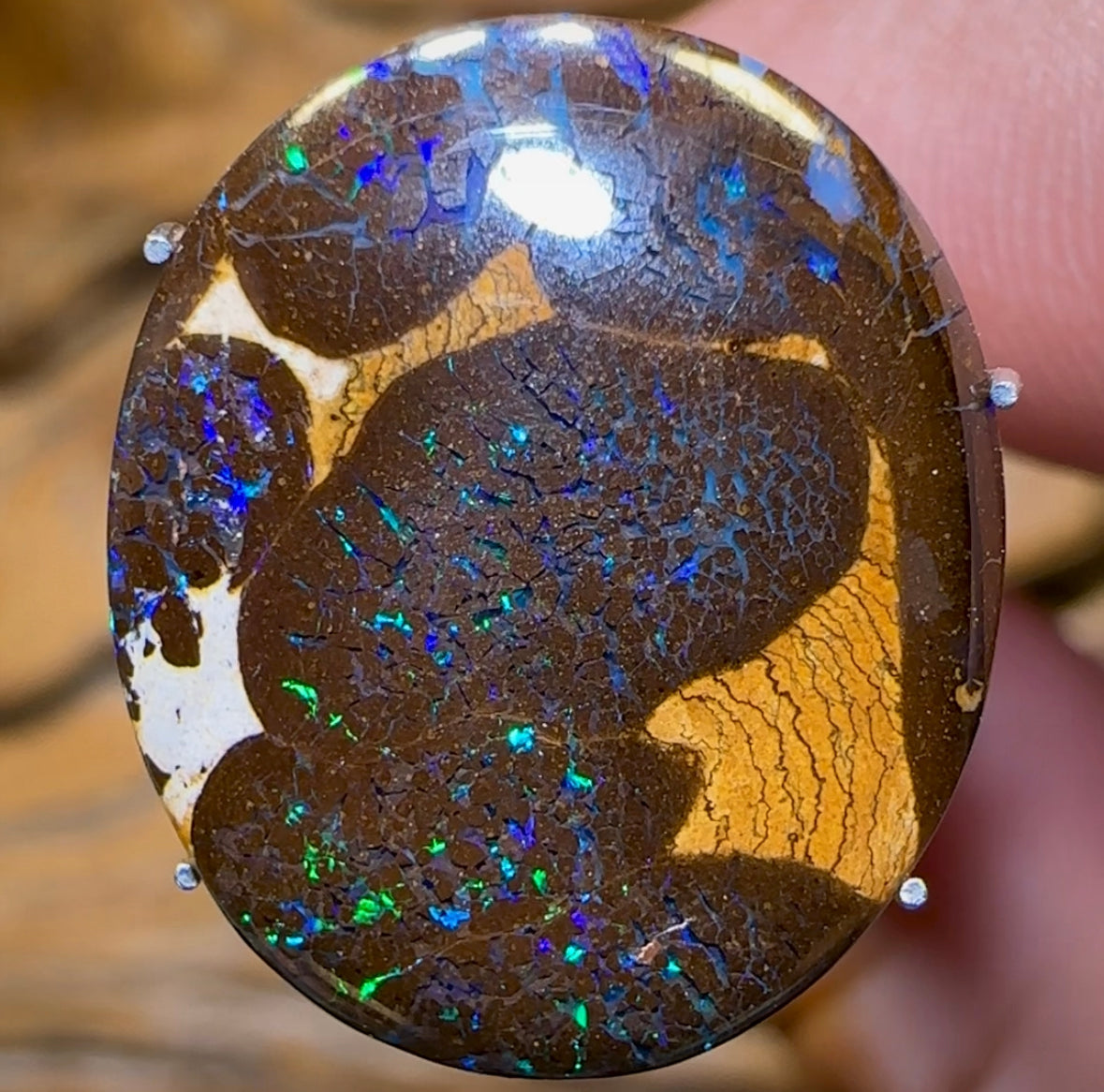 9.2cts - Bubble Band Opal from Winton, Top Oval Highly Polished Cut - Opal Whisperers