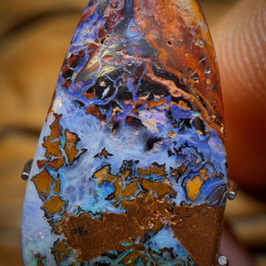 🔨 AUCTION 🔨 7.2cts - Yowah Nut Opal. Rockpool Pattern!
