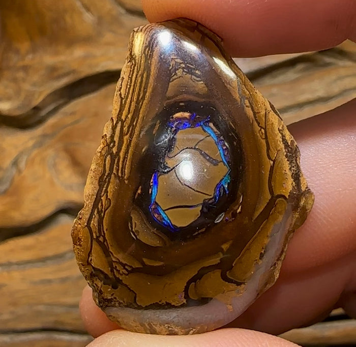 79cts - Yowah Nut Opal Polished Specimen - Opal Whisperers