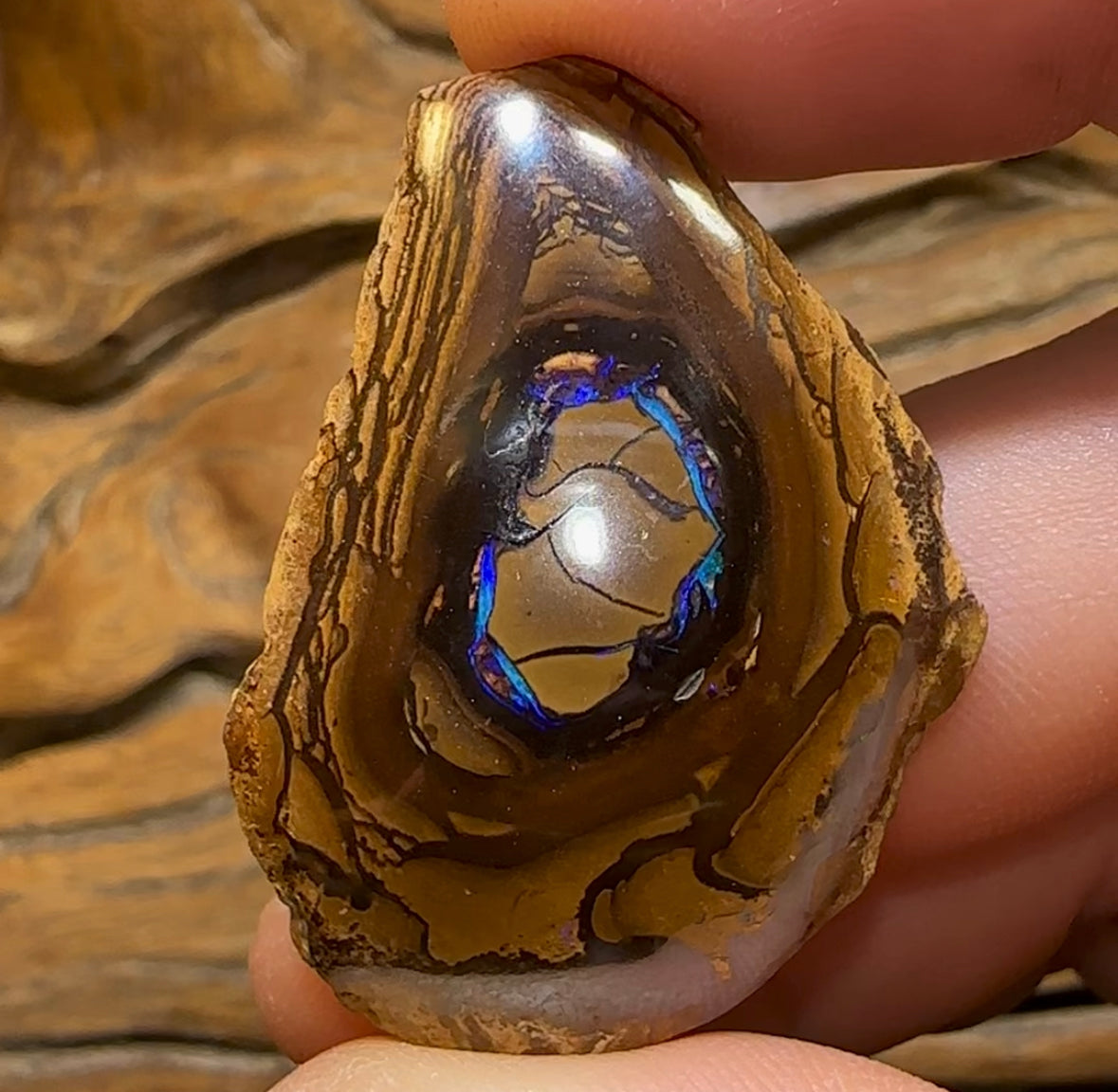79cts - Yowah Nut Opal Polished Specimen - Opal Whisperers