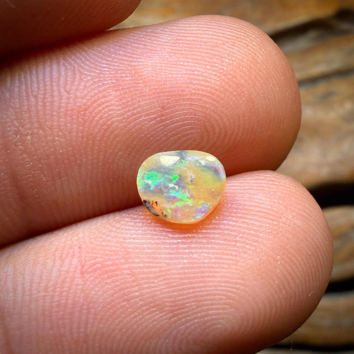 0.65cts - Yowah Nut Golden Crystal Opal