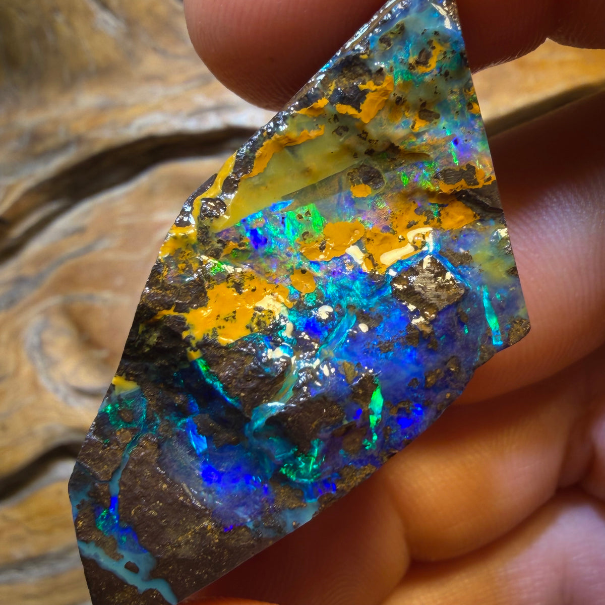 Dad Card! 293cts - Top Queensland Boulder Seam Opal Rough Pair. Natural Split
