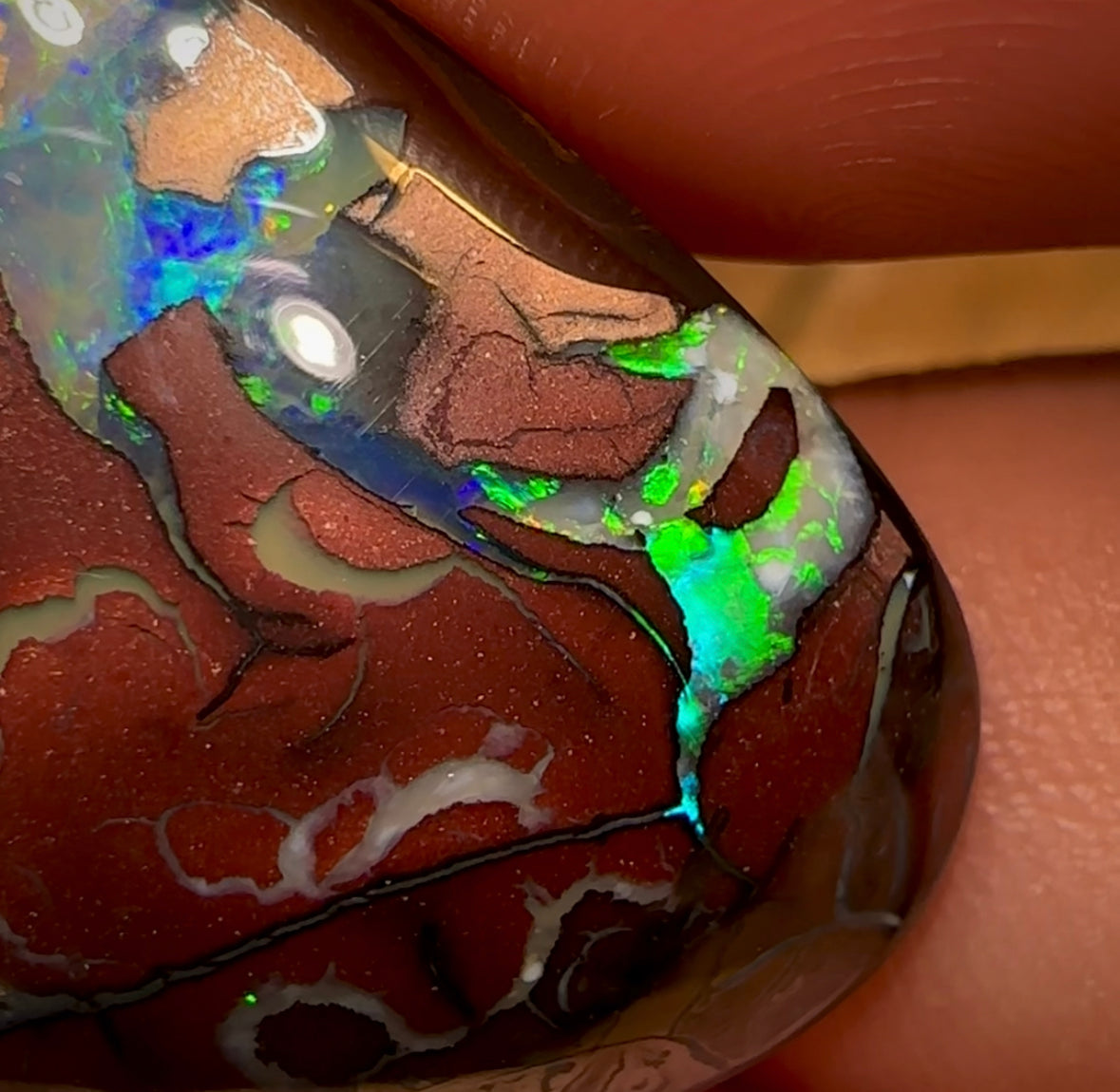 39cts - Queensland Boulder Opal Koroit Nut - Opal Whisperers