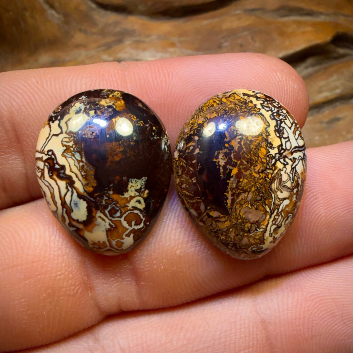 Auktion Nr. 36.1cts – Yowah-Nuss-Stammes-/Kristallzentrum-Opal-Paar