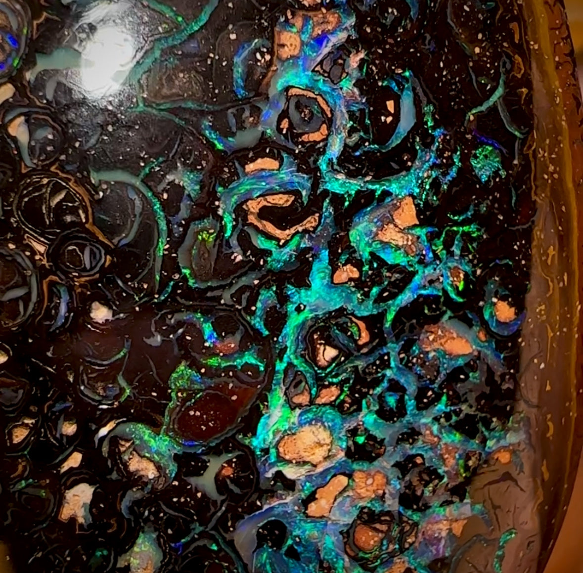 171.4cts - ‘Outback Oasis 2’ Top GEM Tribal Queensland Boulder Opal