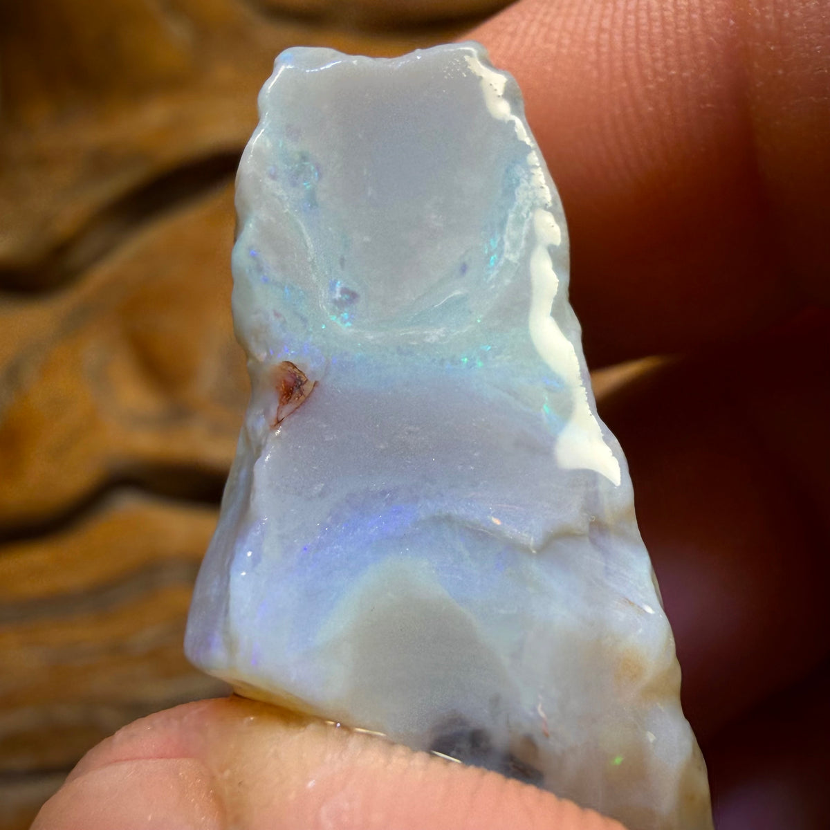 54.4cts - Lightning Ridge Dark Opal Rough Piece