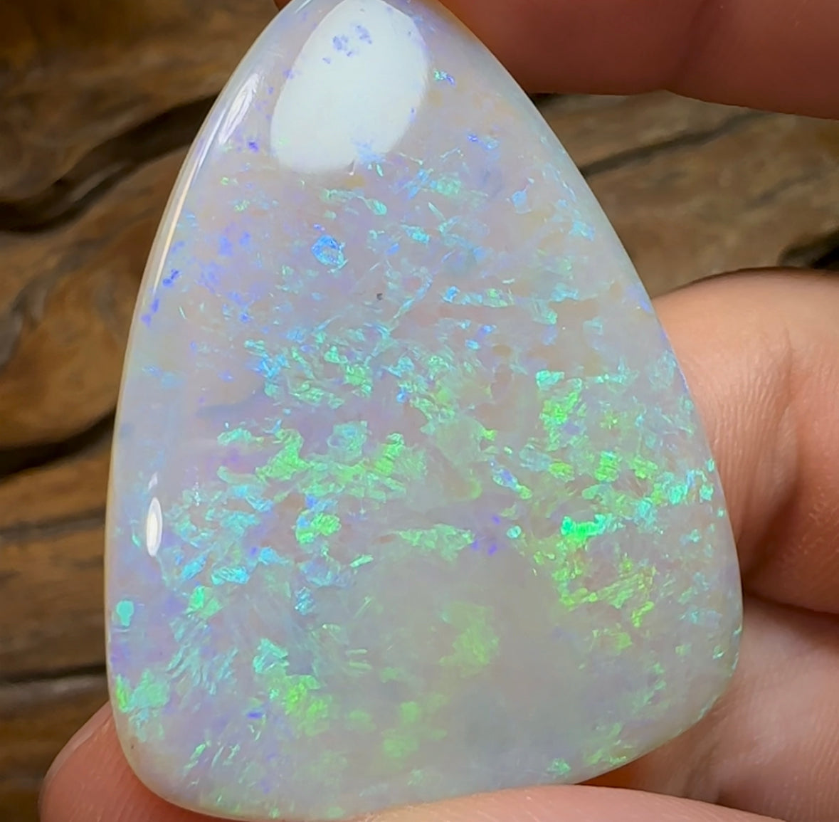 51.5cts - LARGE Heritage Collection South Australian  Crystal Opal - Opal Whisperers