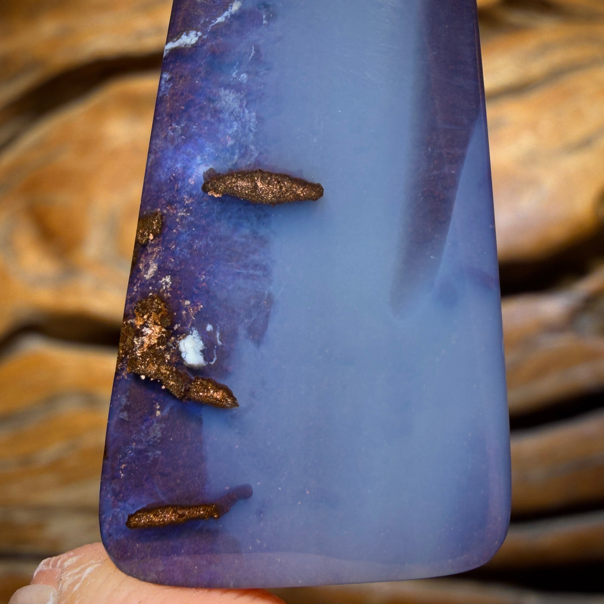 Roadshow Card! 40.7cts - Queensland Boulder Seam Opal from Winton