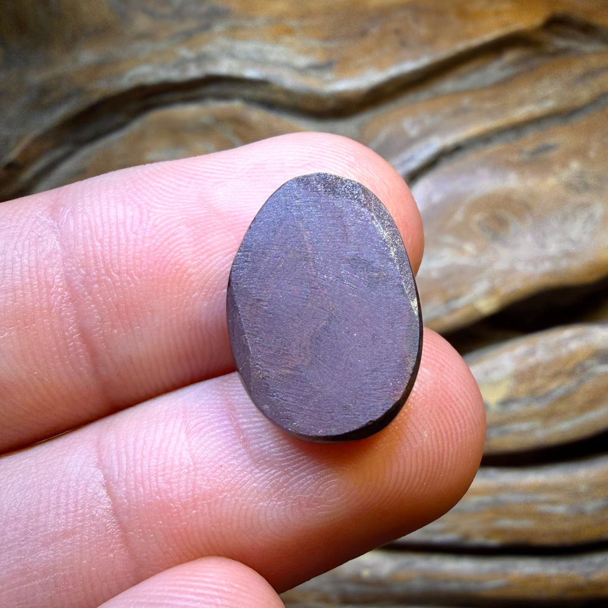 HDW 11.2cts - Queensland Boulder Opal from Yowah