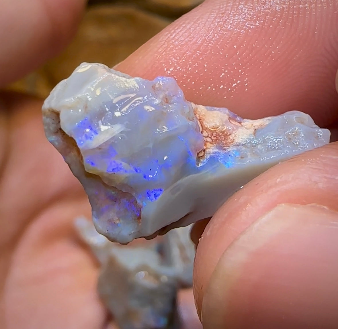 105cts - 10x Lightning Ridge Crystal and Dark Opal Rough Parcel - Opal Whisperers