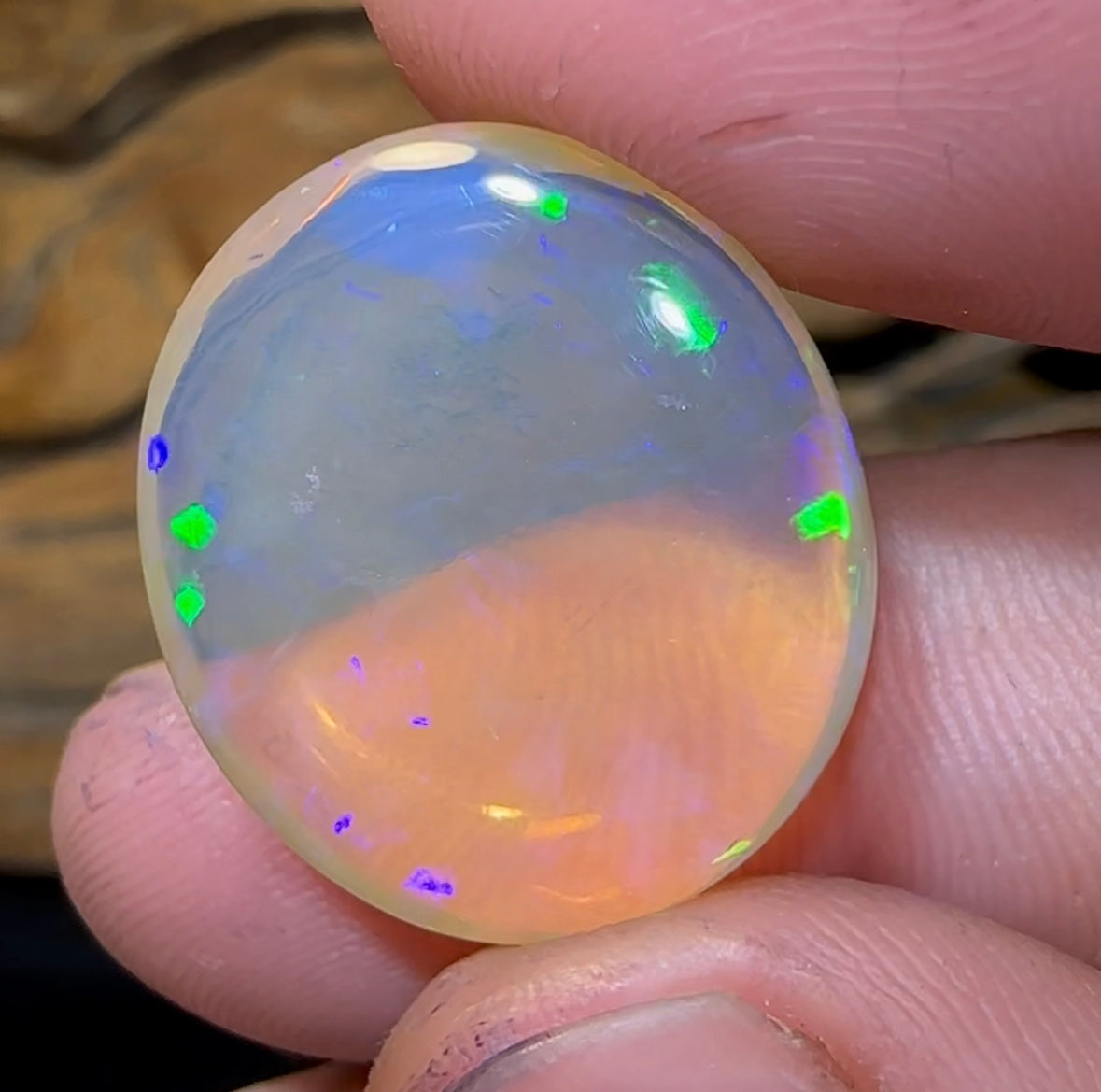 21.2cts - Lightning  Ridge pure Crystal Quality Opal - Opal Whisperers