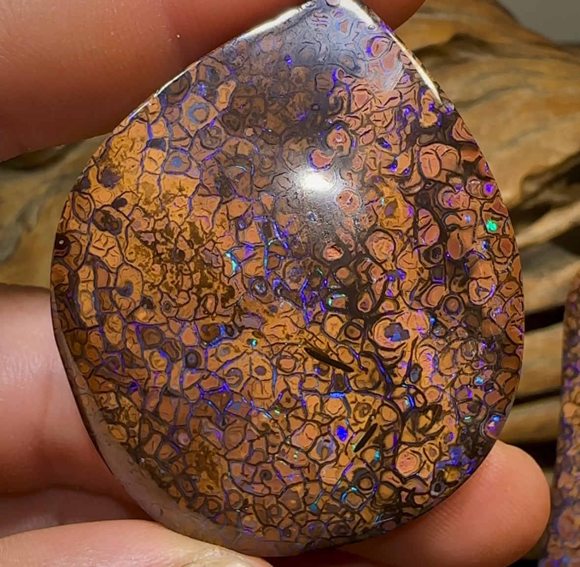 342.7cts - Yowah Nut Opal Specimen Pair. TRIBAL PATTERN - Opal Whisperers