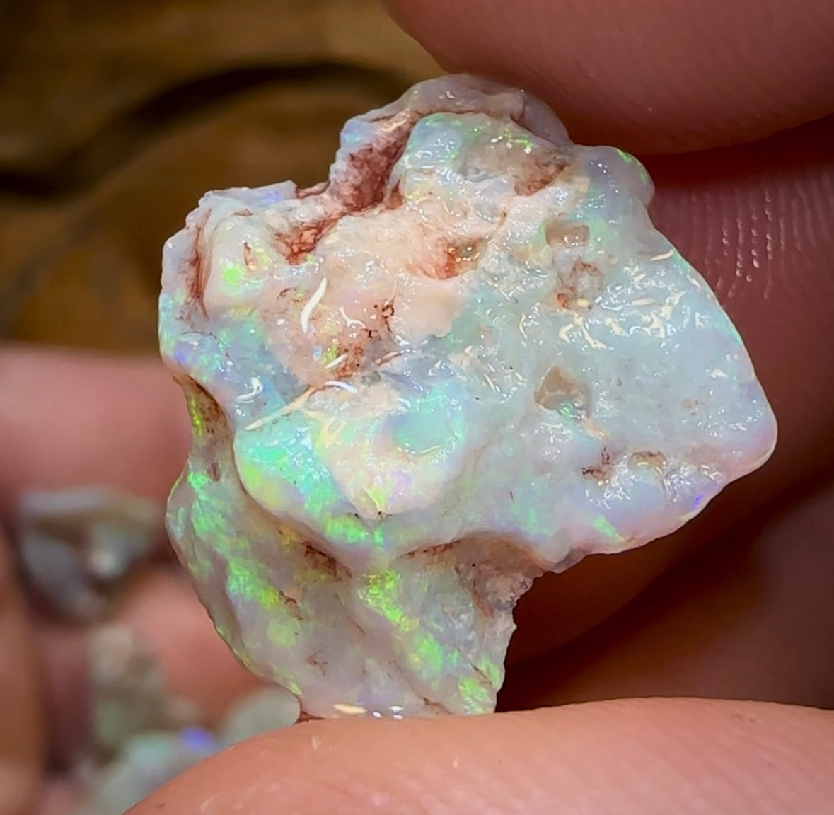 58.55cts - 11x Lightning Ridge Dark and Light Opal Rough Parcel - Opal Whisperers