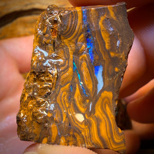 342cts - 3x Queensland Boulder-Opal-Rohmaterial-Paket von Duck Creek