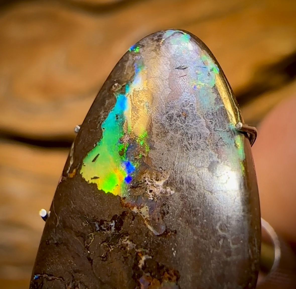 10.7cts - Queensland Boulder Opal from Yowah