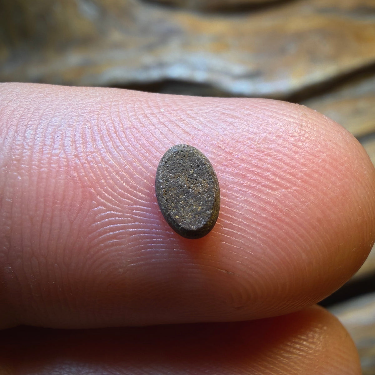 🔨 AUCTION 🔨 No Reserve 0.25cts - Australian Boulder Opal Doublet