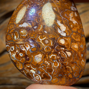 36 x 27mm - Drilled Tribal Queensland Boulder Opal