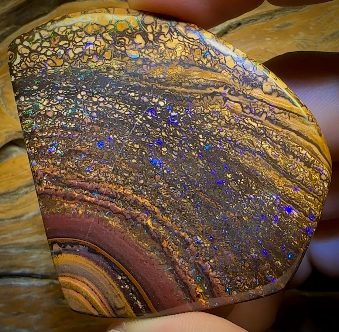391.5cts - Large Tribal Queensland Boulder Opal. Polished Specimen