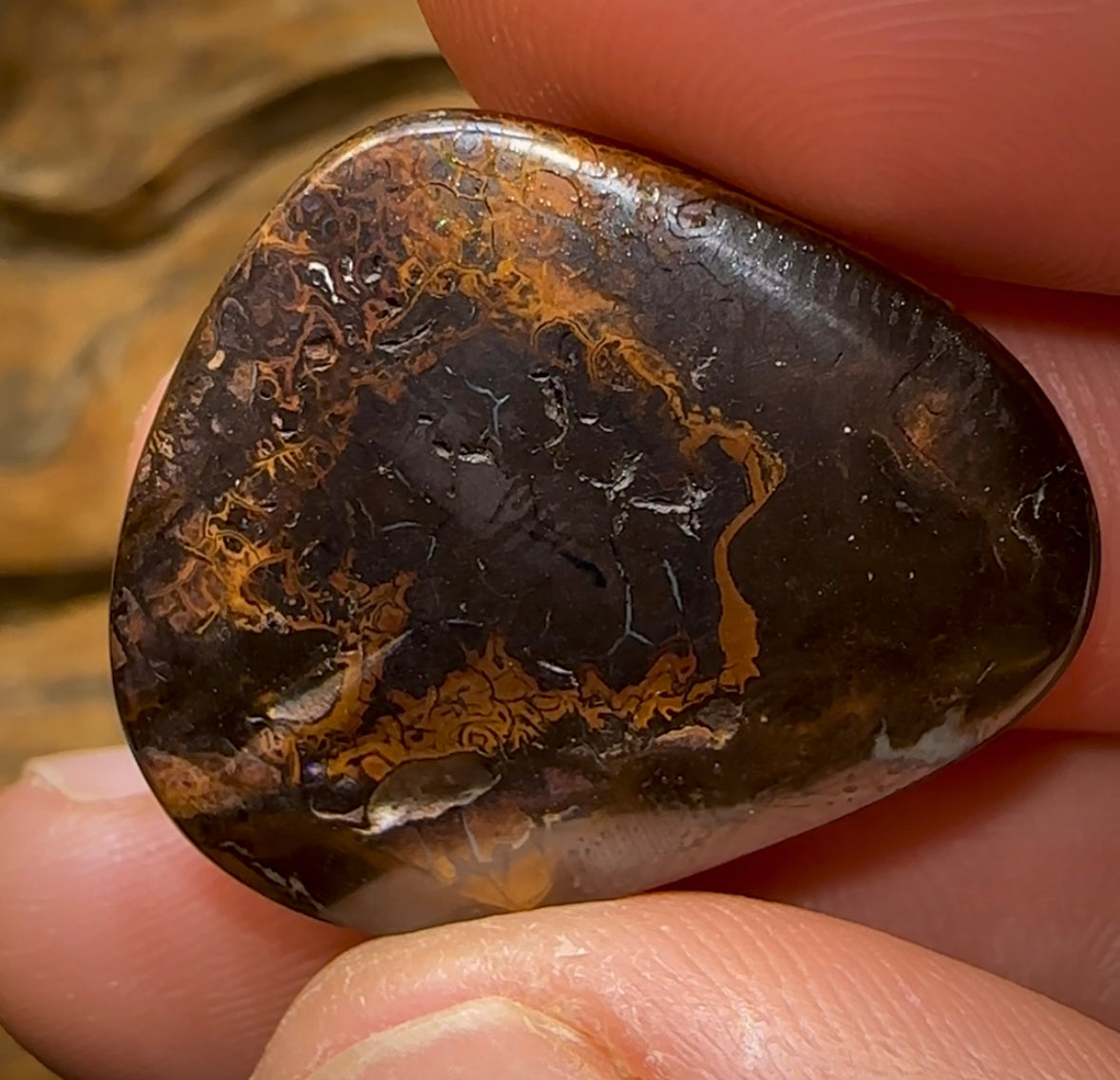 39cts - Queensland Boulder Opal Koroit Nut - Opal Whisperers