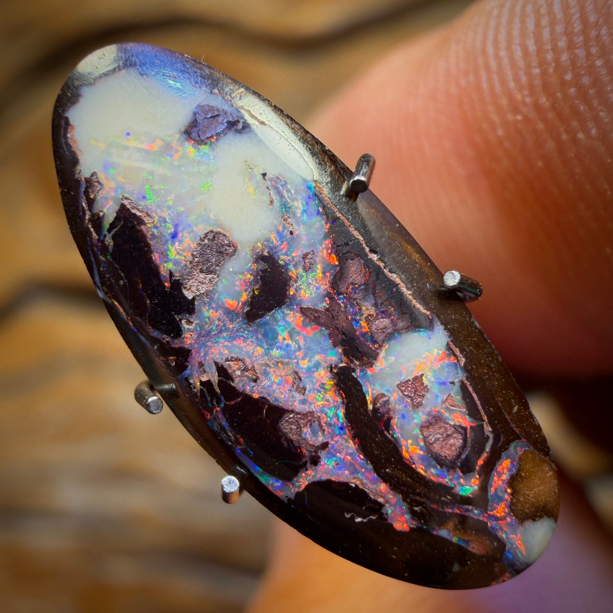 4.1cts - Yowah Nut Partial Crystal Centre Opal. Australian Boulder Opal
