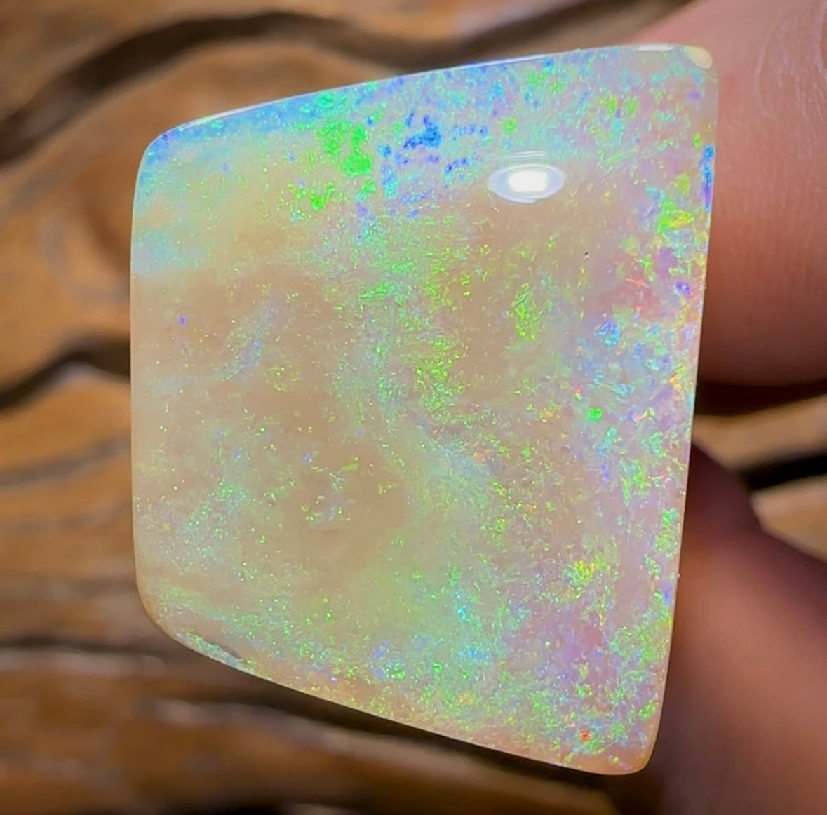 19.1cts - Yowah Nut Pure  Golden Crystal Opal. Old Material Super Rare - Opal Whisperers