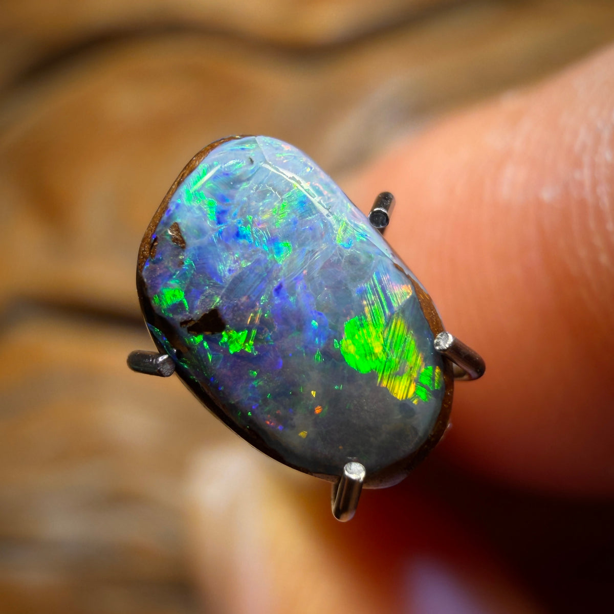 🔨 AUCTION 🔨 No Reserve 1.6cts - Queensland Boulder Seam Opal. Australian Opal