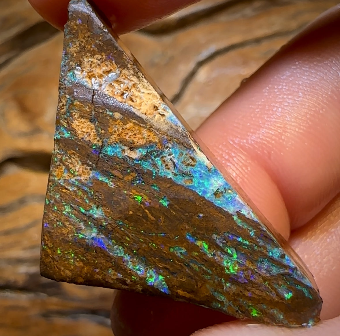 57.1cts - Queensland Boulder Wood Fossil Opal Preform Rub