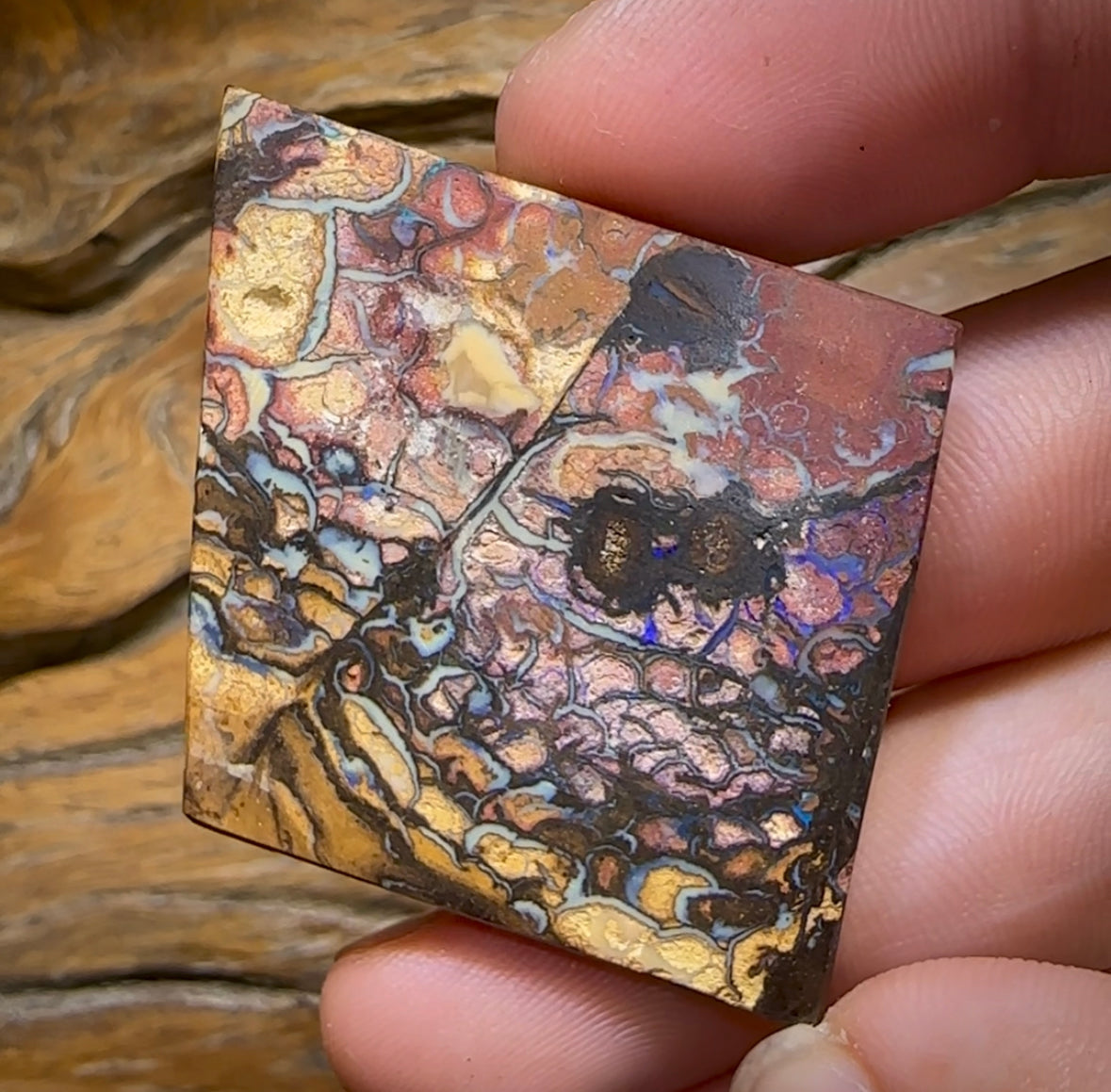 79.1cts - Large Yowah Nut Tribal Opal segmented landscape Pattern - Opal Whisperers