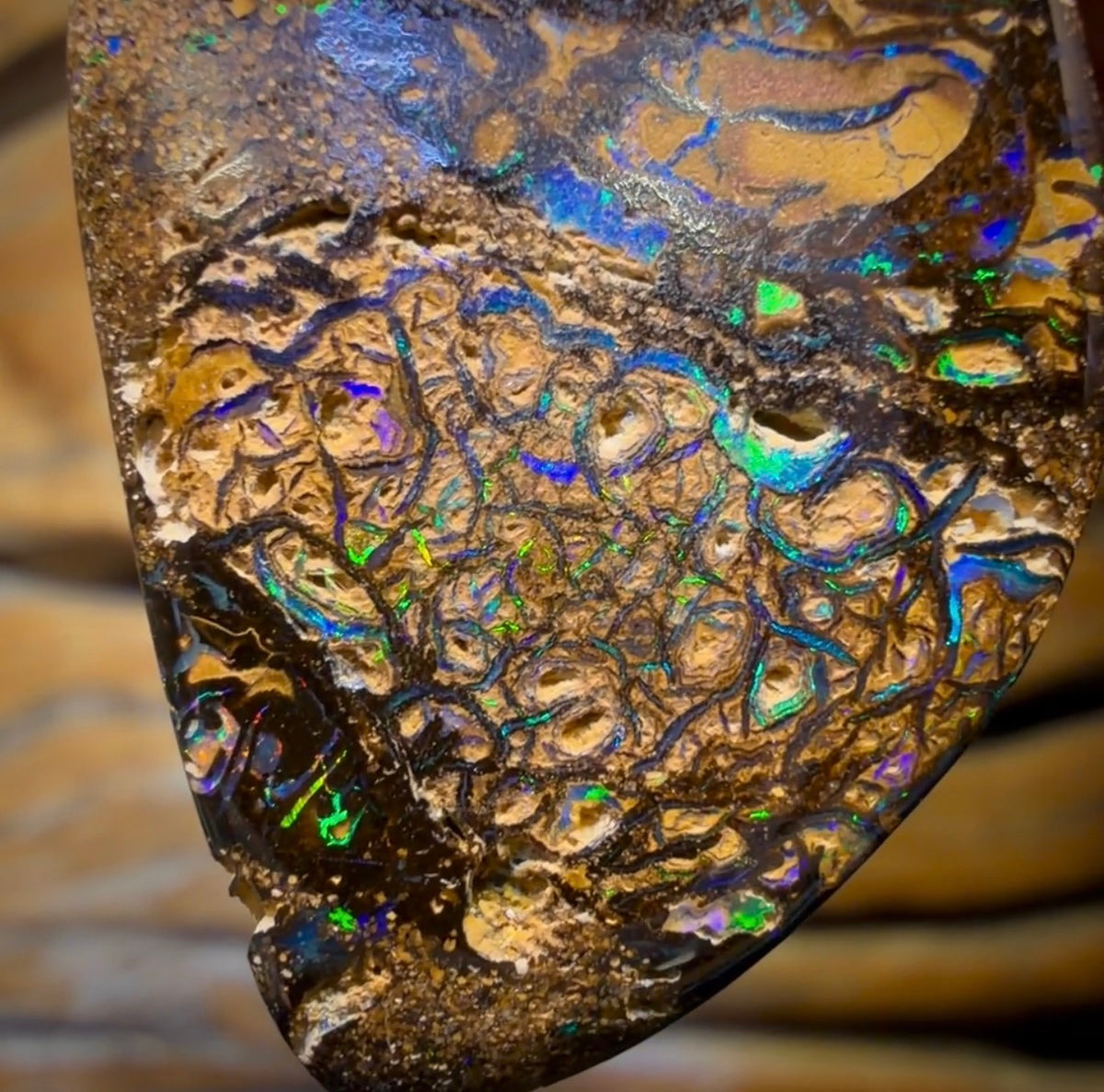 Wildcard! 40 x 22mm - Drilled Tribal Queensland Boulder Opal Necklace. Double Sided