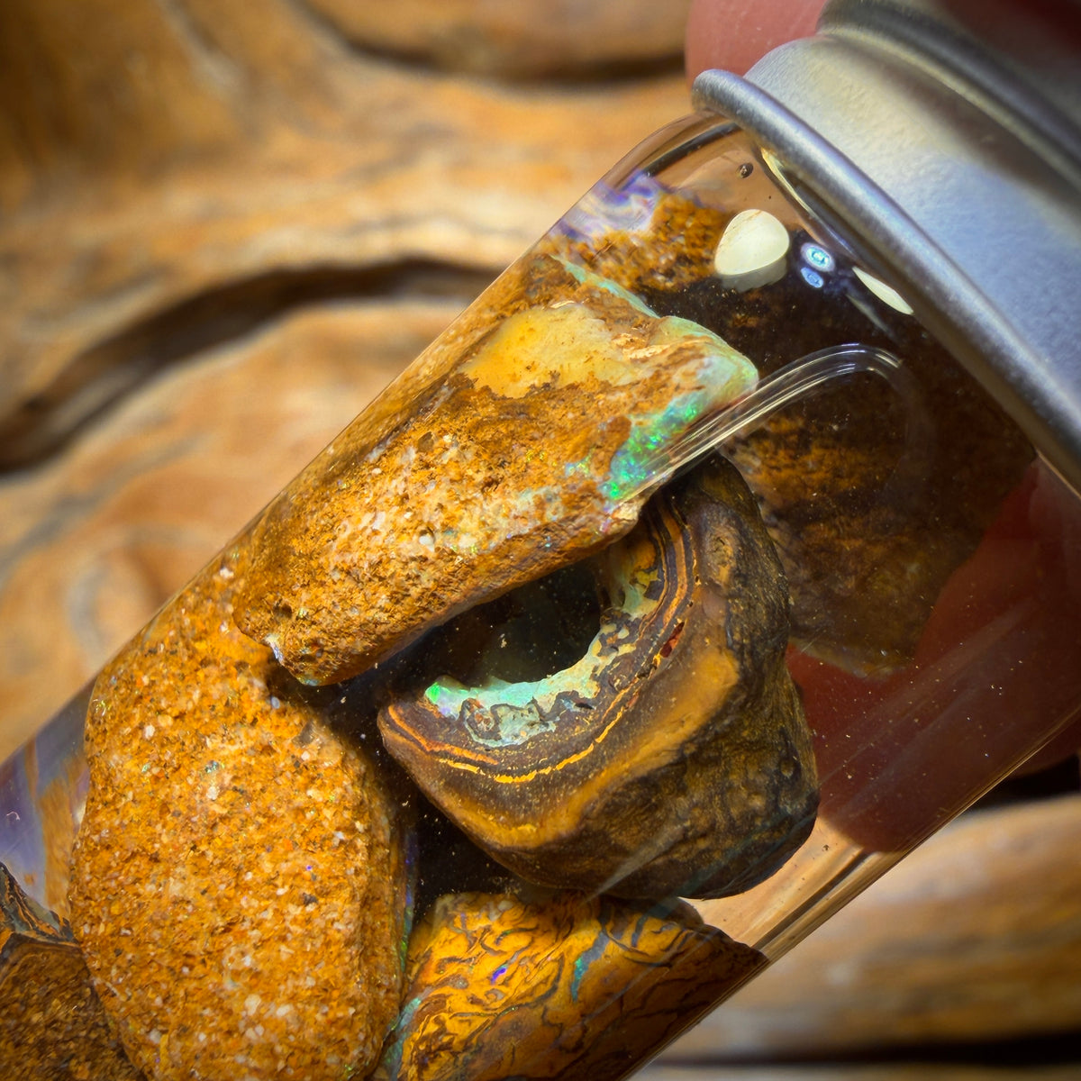 65cts - Jar of Yowah Nut Opal Rough w/ Fossil Opal