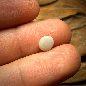 🔨 AUCTION 🔨 0.95cts - Flames Lightning Ridge Light Opal