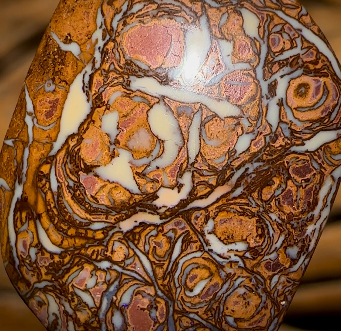 Auction Fall-Through = Your Gain! 🔥 Now More Than 50% Off RRP 🚨 22.8cts - Yowah Nut Tribal Opal Picture Stone