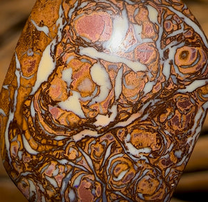 Auction Fall-Through = Your Gain! 🔥 Now More Than 50% Off RRP 🚨 22.8cts - Yowah Nut Tribal Opal Picture Stone