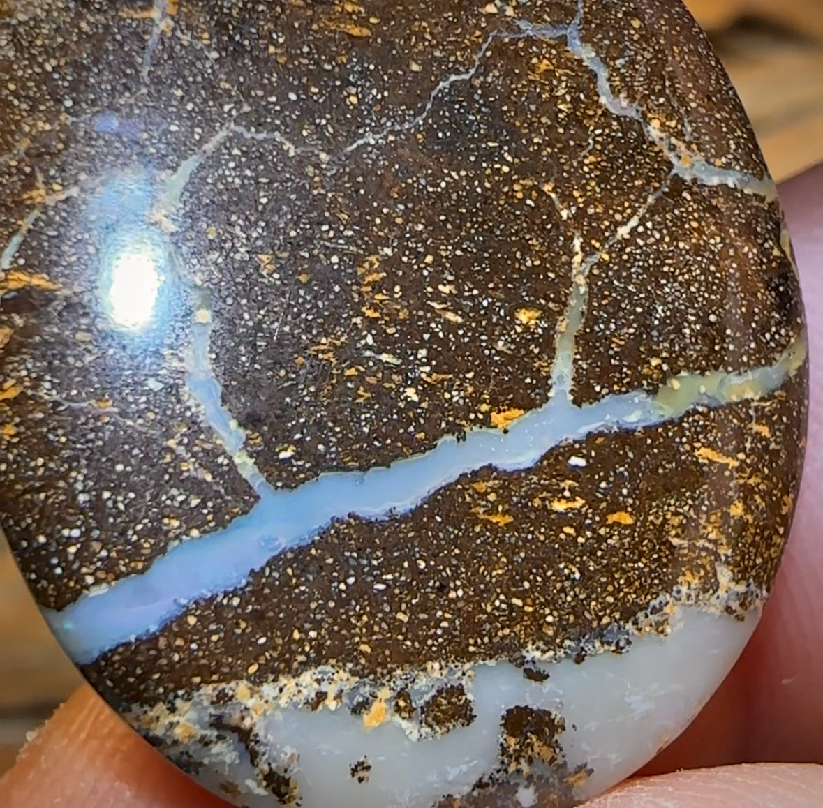 🔨 AUCTION 🔨 No Reserve 34.5cts - Queensland Boulder Seam Opal