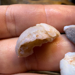 Dad Card! 34.2cts - 3x RARE Gastropods Natural Opalised Snail Shell Fossils