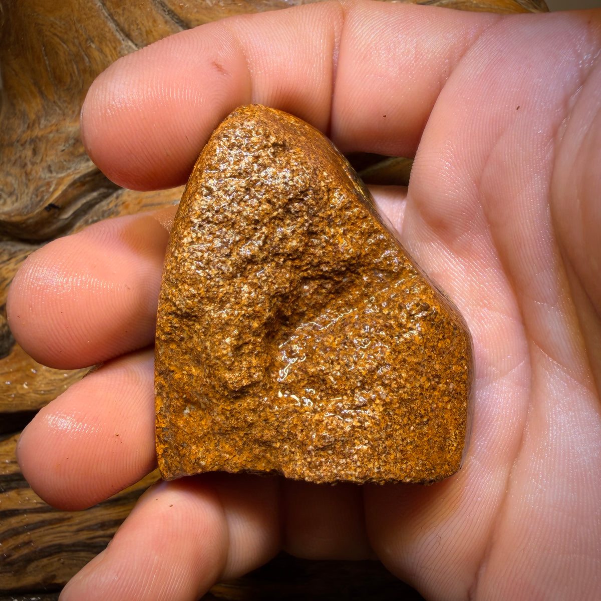 Wild Card! Massive! 457.5cts - Tribal Yowah Nut Opal Rough Piece
