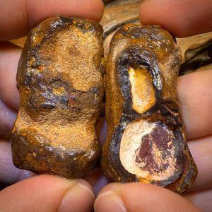 310.5cts - Yowah Nut Partial Crystal Centre Rough Specimen Pair