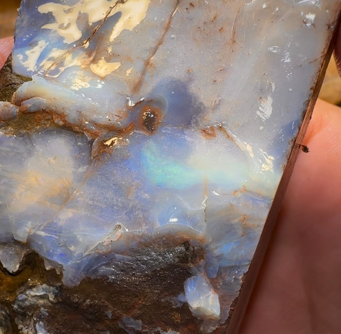 292g - Queensland Boulder Seam Opal Rough Specimen - Opal Whisperers