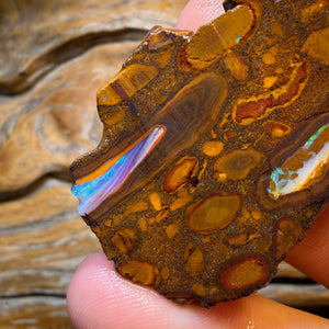 HDW 285.9cts - Yowah Nut Conglomerate Rough Piece. Australian Boulder Opal