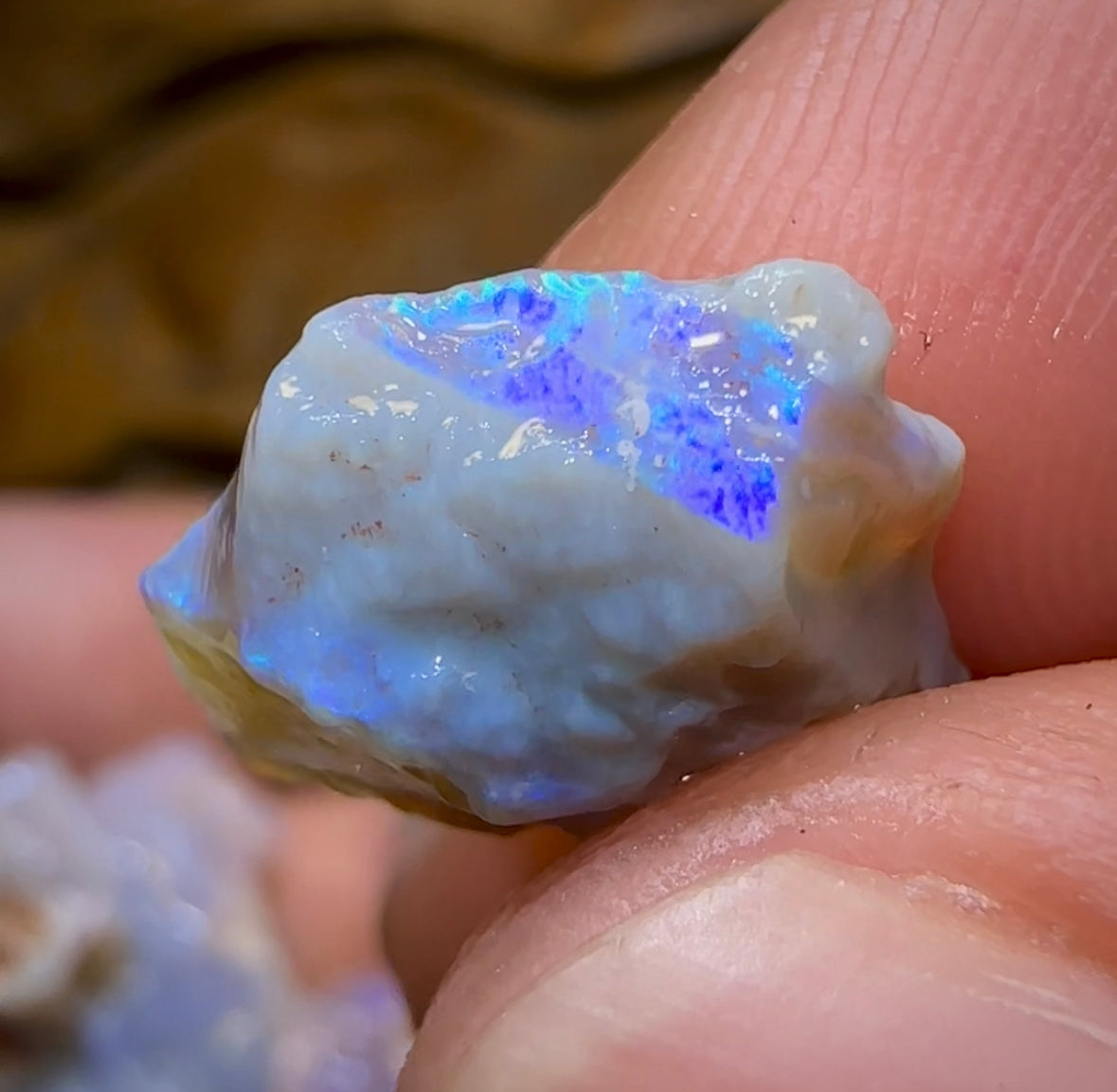 109cts - 10x Lightning Ridge Crystal and Dark Opal Rough Parcel - Opal Whisperers