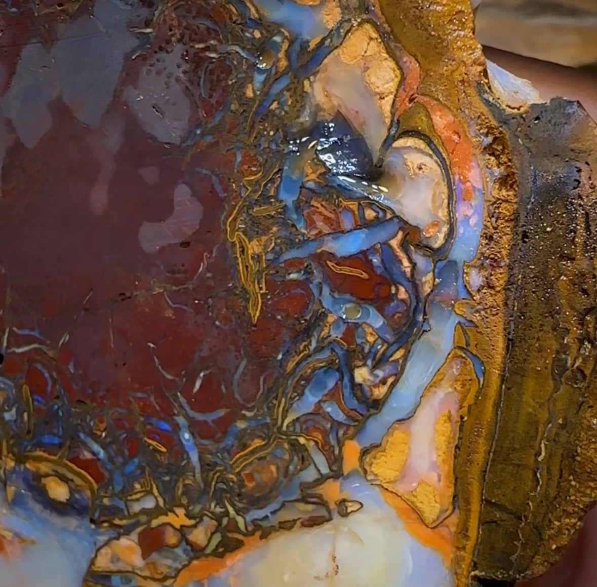 (Template) 477.8cts - Yowah Nut Rough Half. Australian Opal - Opal Whisperers