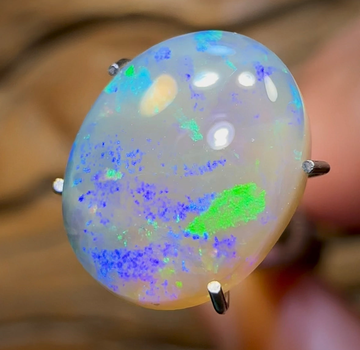 3.1cts - Lightning Ridge Crystal Opal - Opal Whisperers