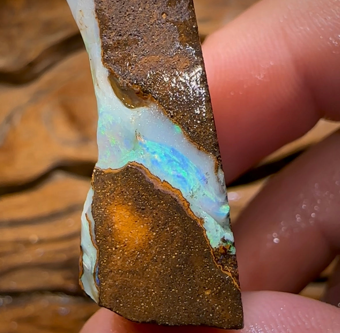 100.2cts - Australian Boulder Opal Rough Preform. Natural Split - Opal Whisperers