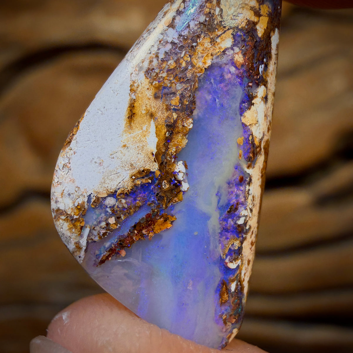 🔨 AUCTION 🔨 8.5cts - Solid Australian Boulder Pipe Opal Double Sided