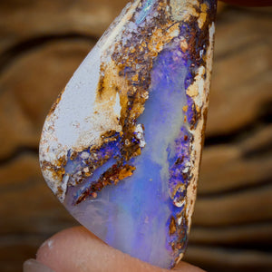 🔨 AUCTION 🔨 8.5cts - Solid Australian Boulder Pipe Opal Double Sided