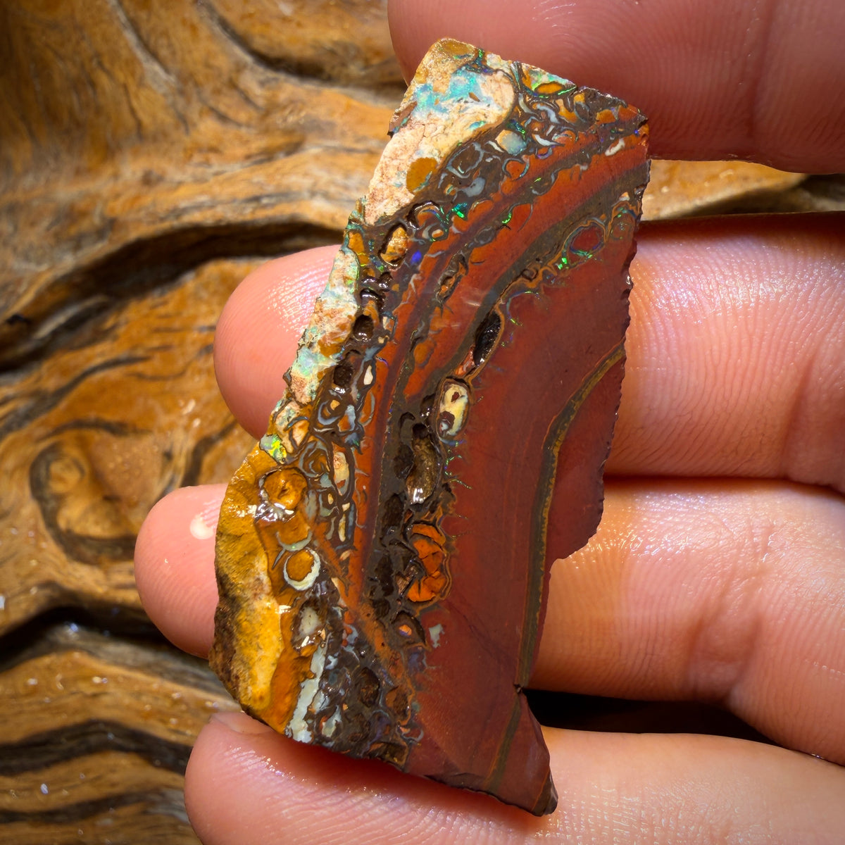 79.1cts - Tribal Yowah Nut Opal Rough Piece